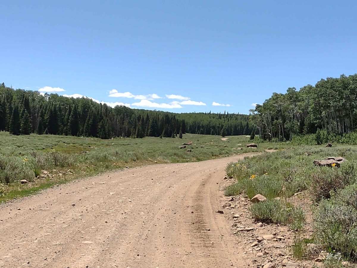 Annabella Reservoir/Deep Lake - FS 40080 photo 4