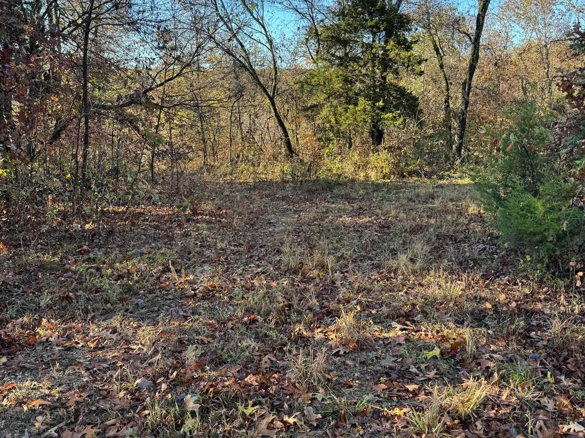Green 109 trail photo