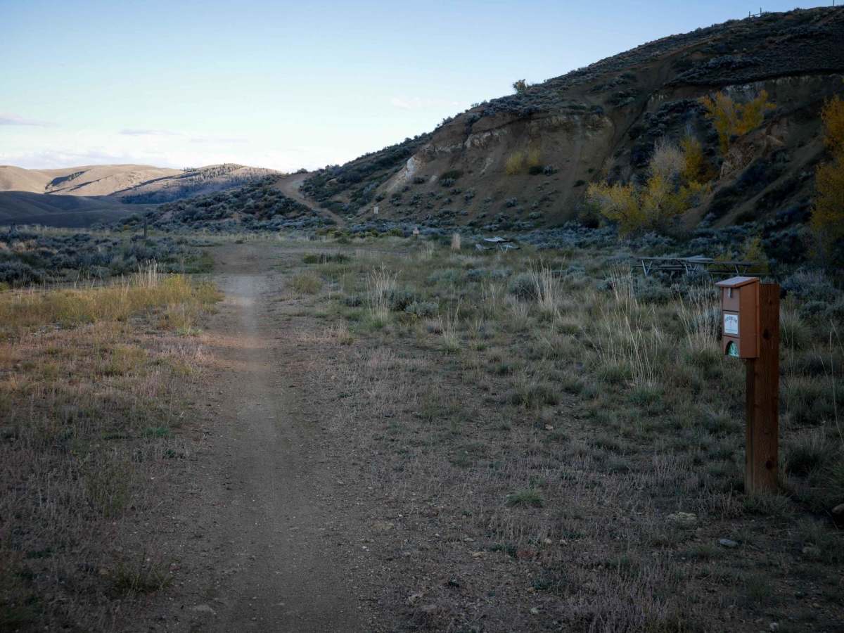Tugs trail photo