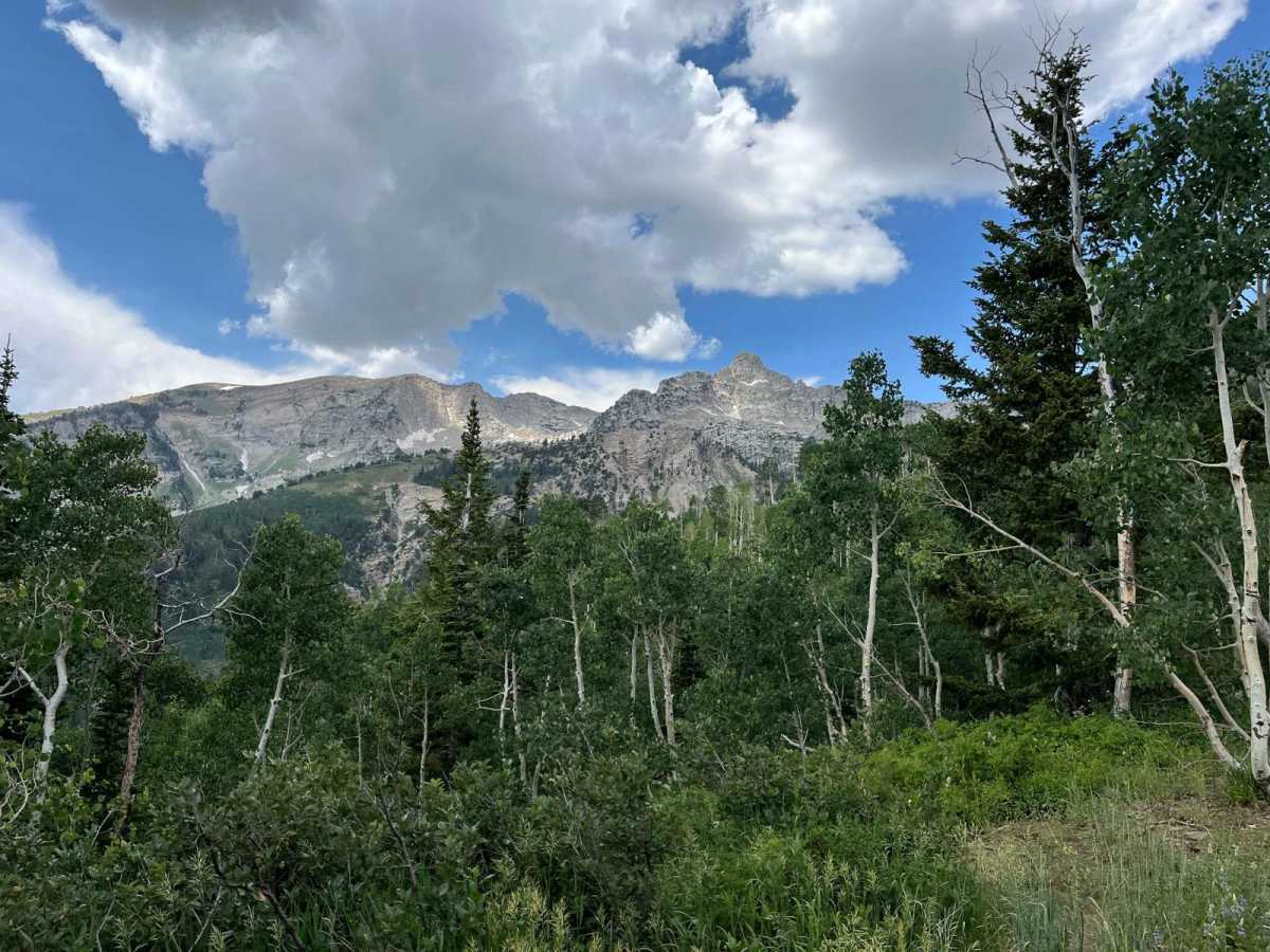 Major Evans trail photo