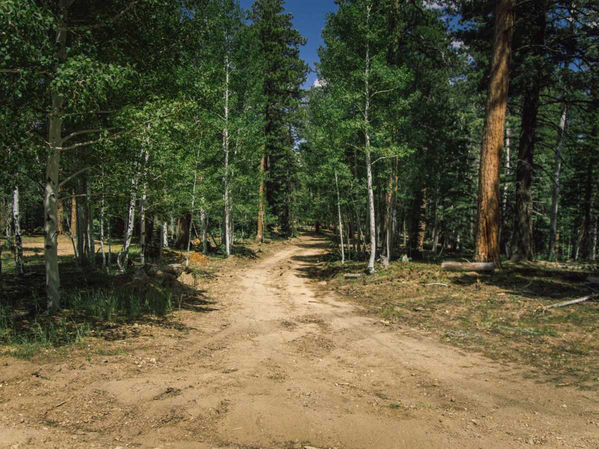 610 F&G trail photo