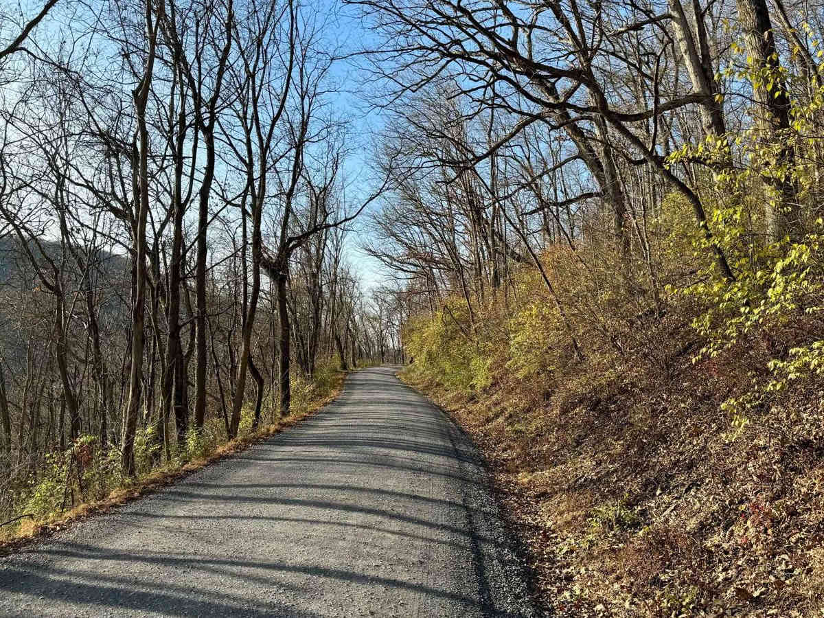 Beech Creek Road photo 2