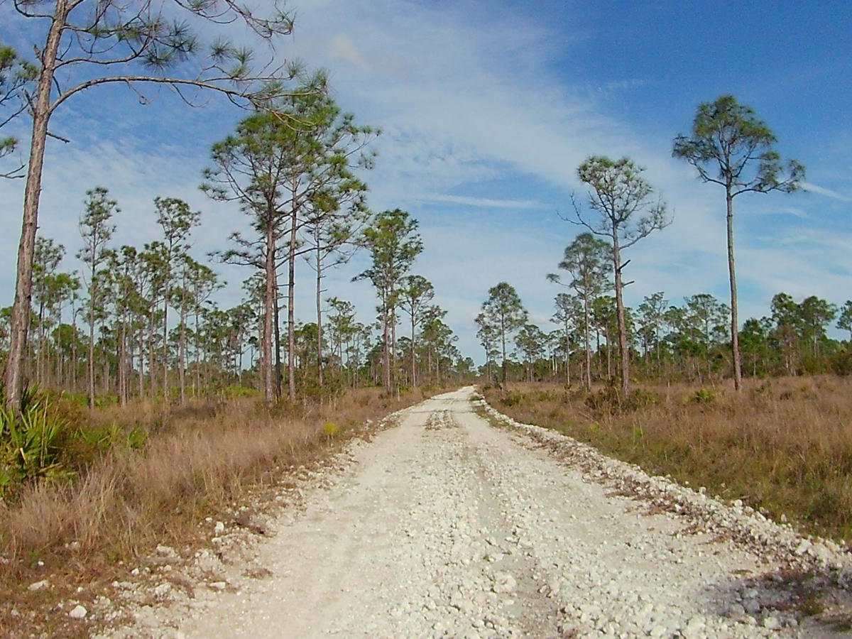 Dead Hog Grade trail photo