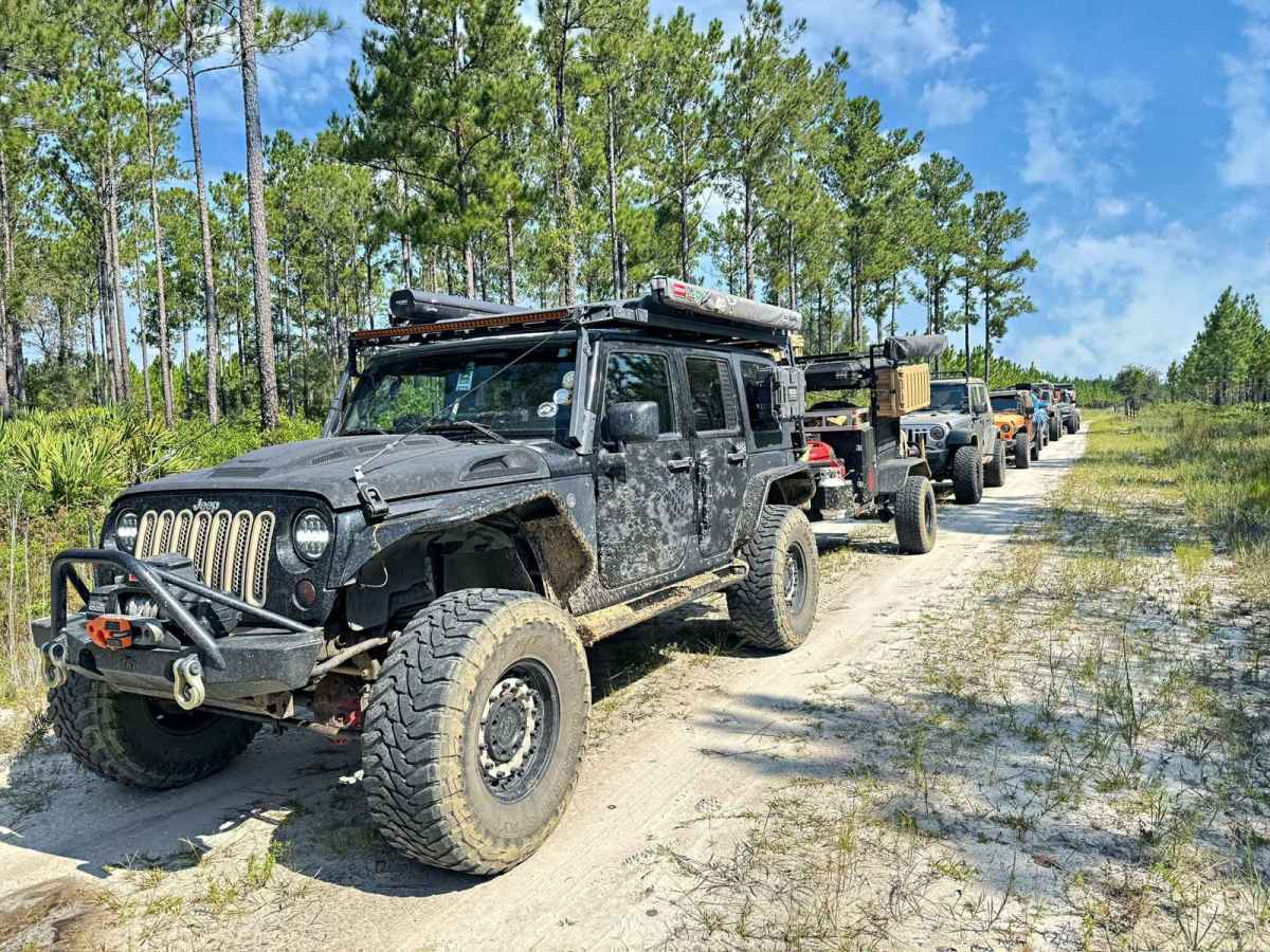 Bullard Altamaha River Loop photo 4