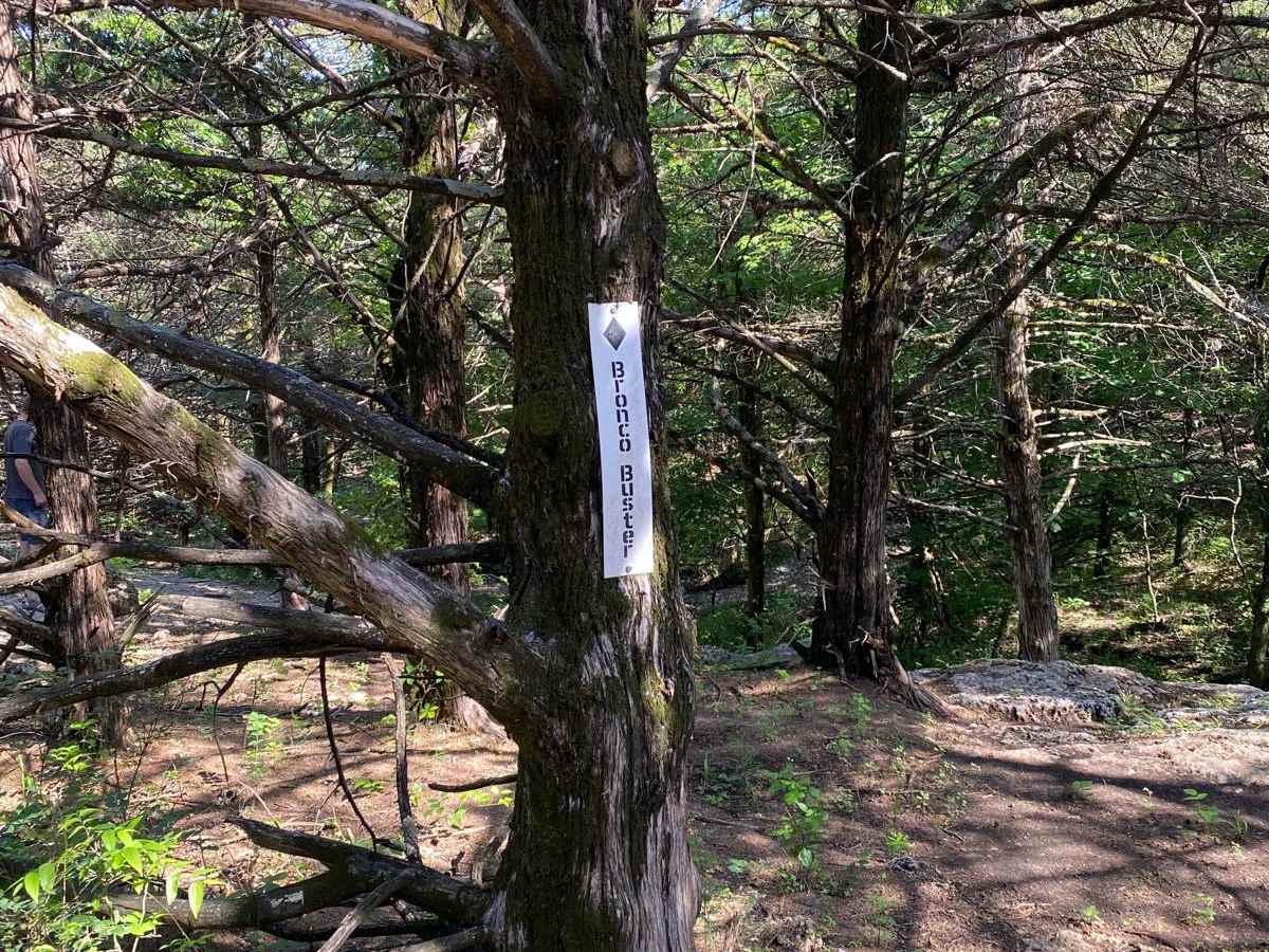 Bronco Buster trail photo