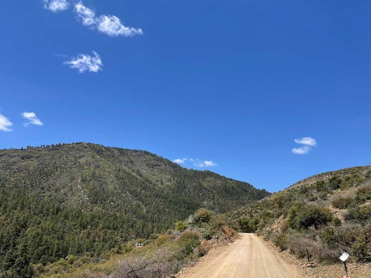 Breezy Pines Road photo 4