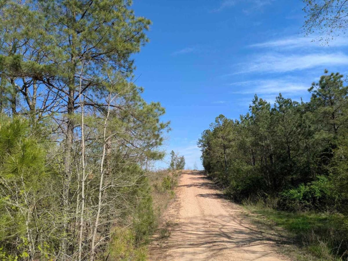 Polk Road photo 5