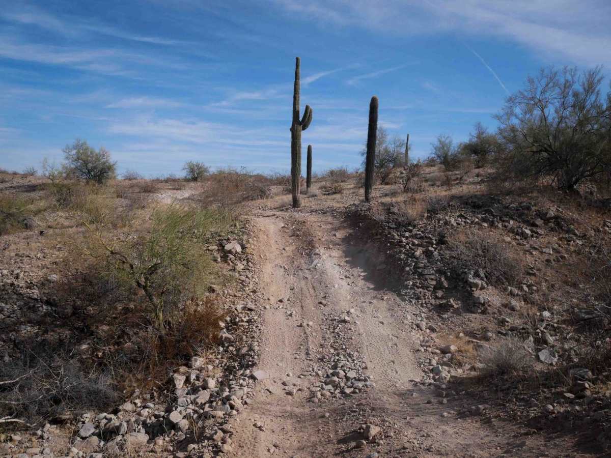 BH1107 photo 6