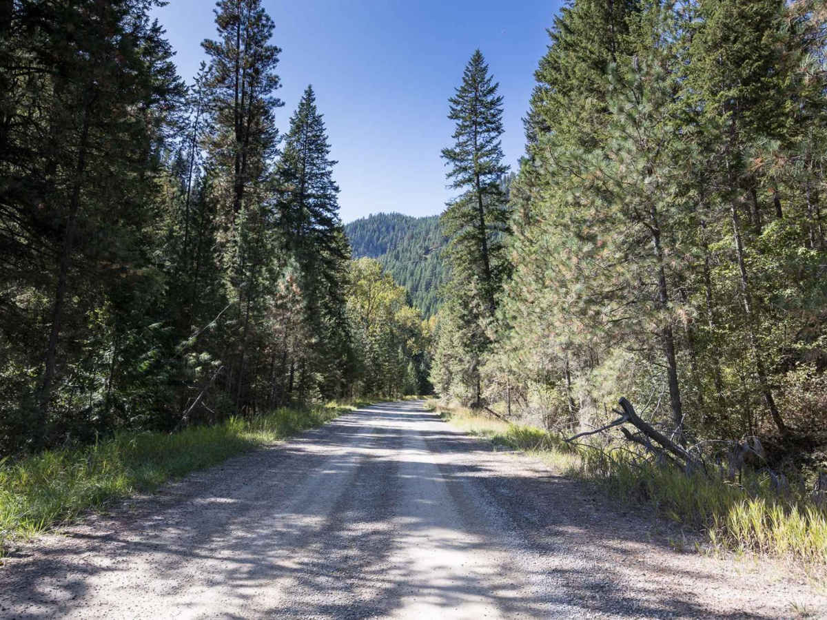Little Joe Creek FS 282 trail photo