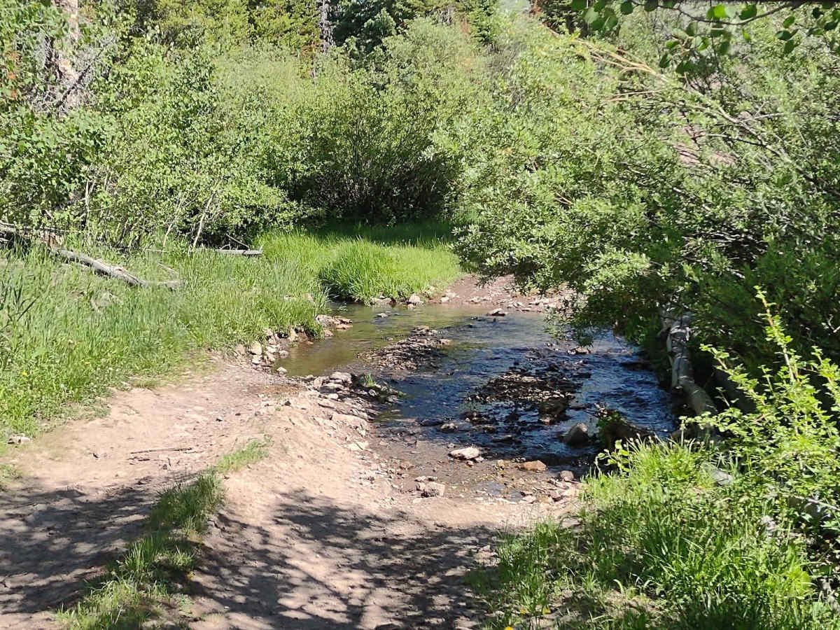 South Fork Greenwich Creek photo 5