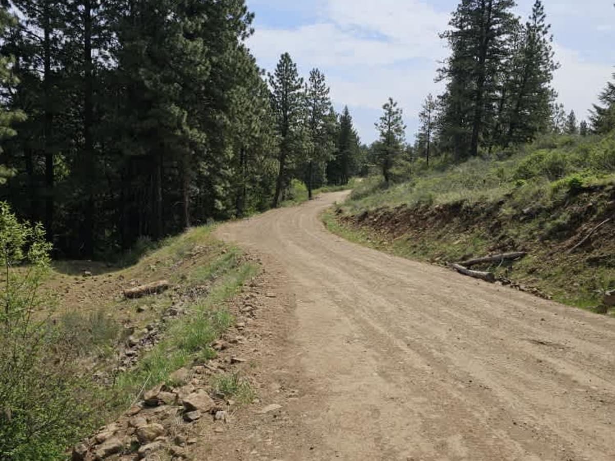 Morris Canyon - NF 629 photo 6