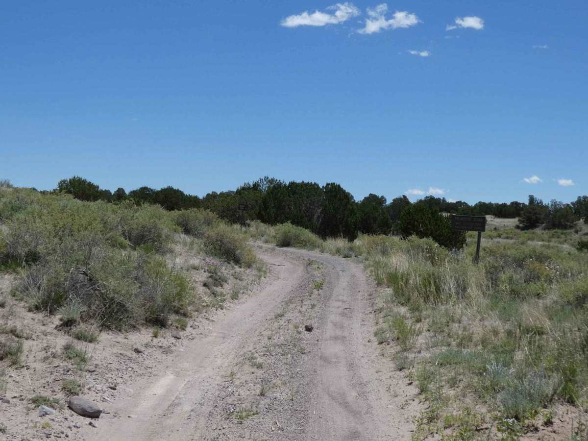 Buckhorn FS24 trail photo