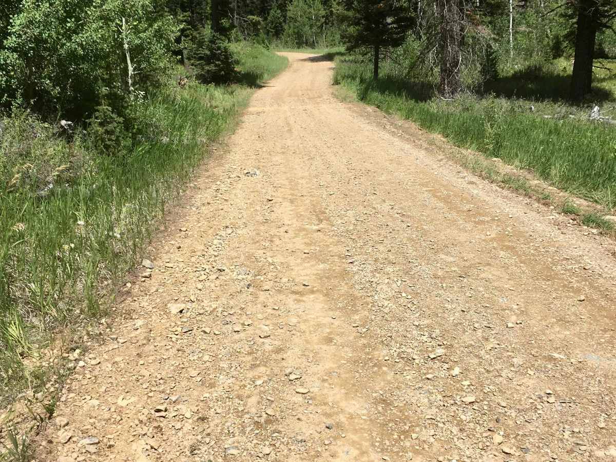Lincoln Gulch Road photo 2
