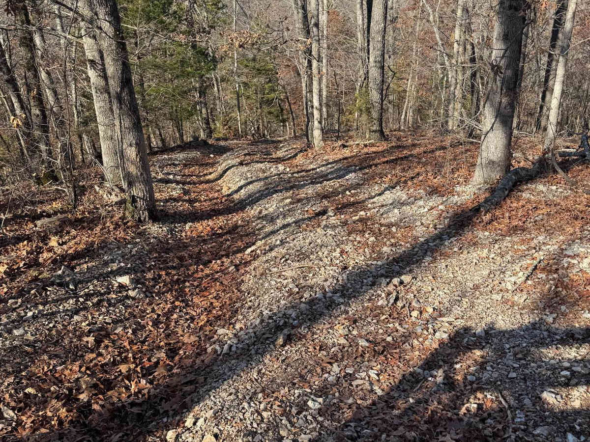 Yellow 330 trail photo