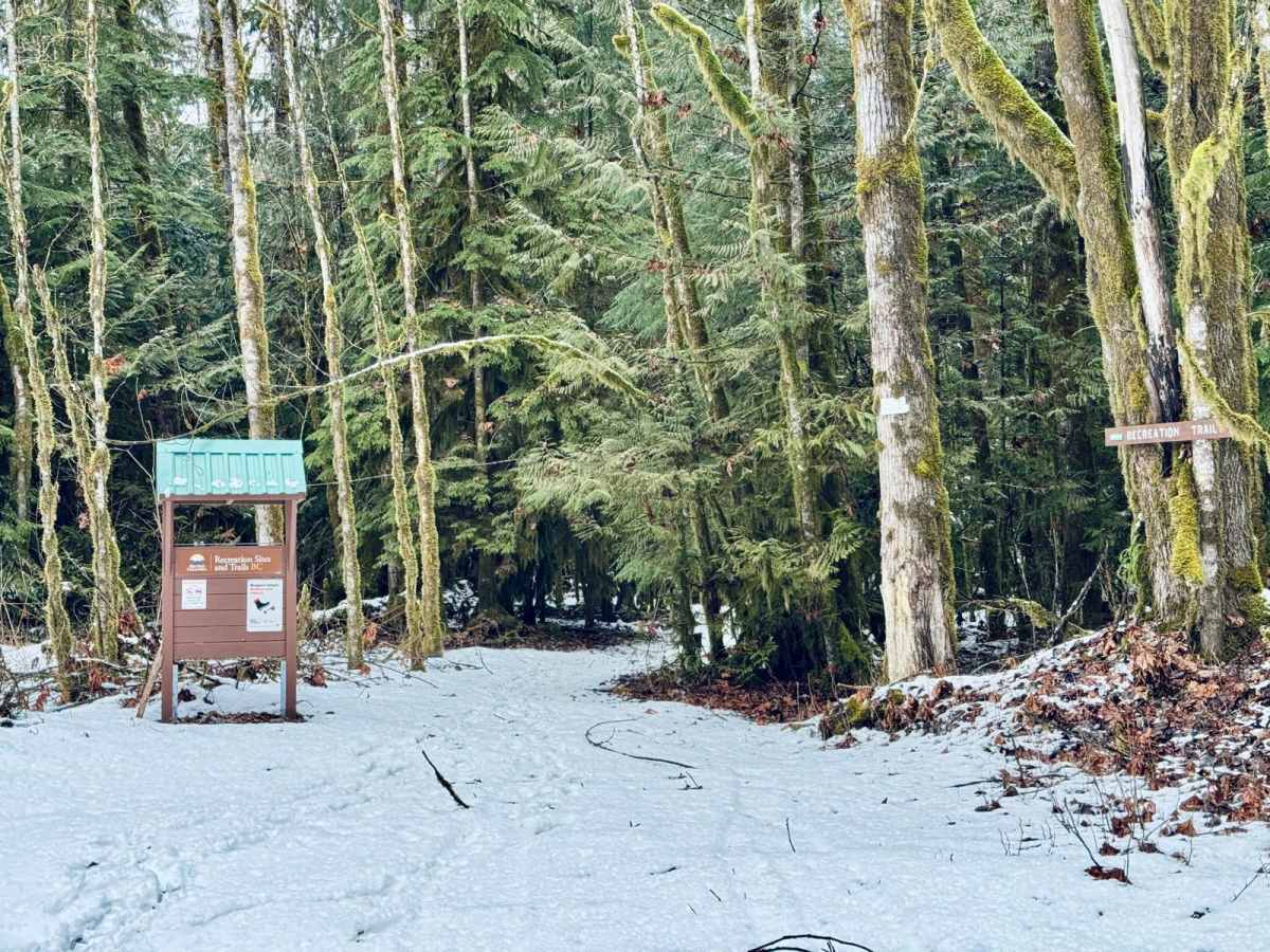 Squamish River FSR photo 2