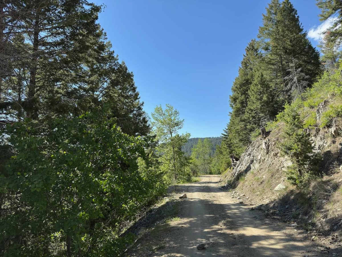 Gird Creek photo 6