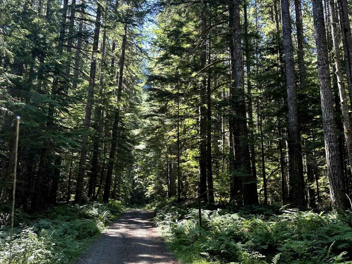 Burley Mountain Road photo 2