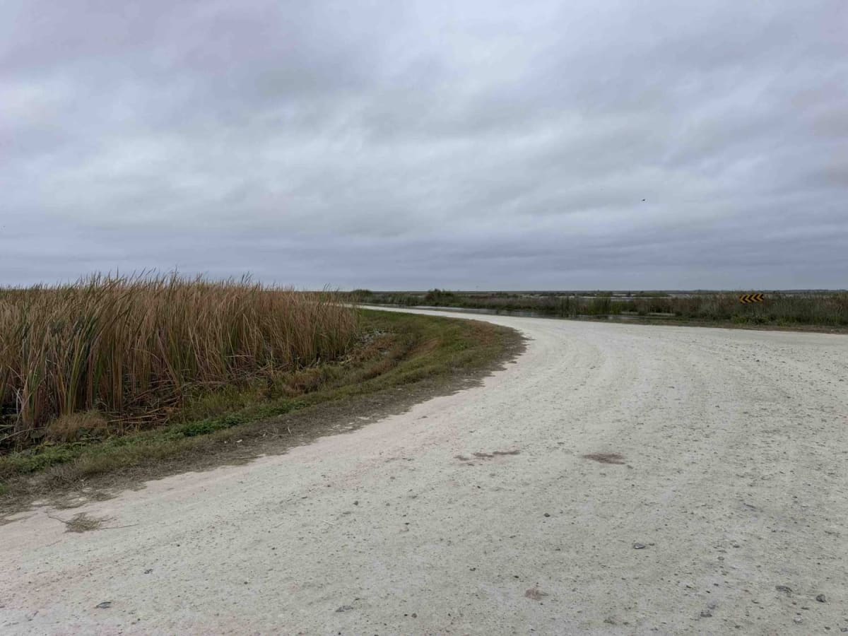 Welland & Roach Road photo 4