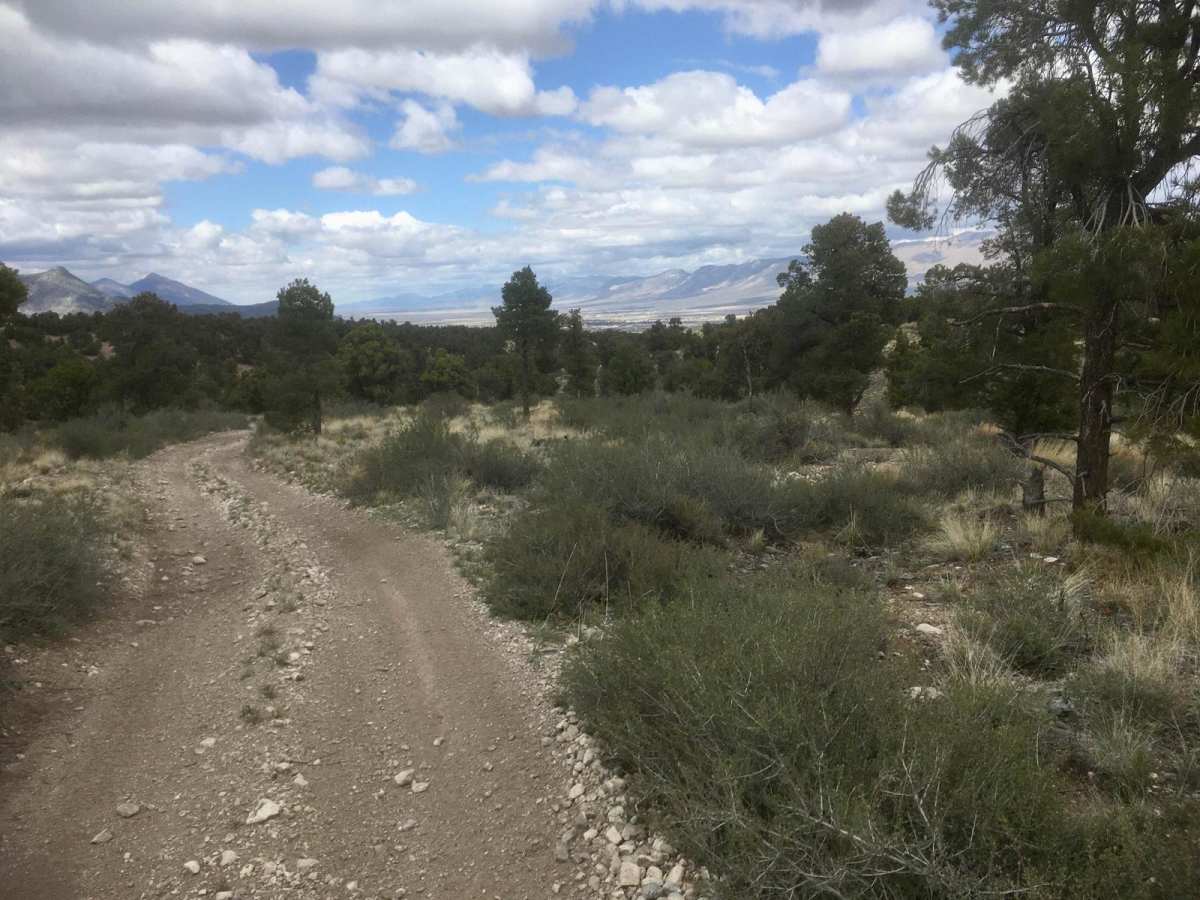 Ice Plant Road photo 2