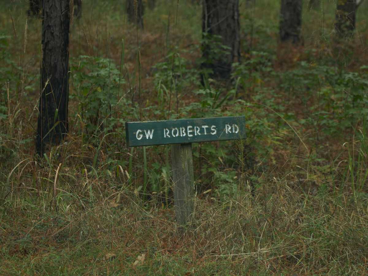 Donnelly WMA PT.4 trail photo