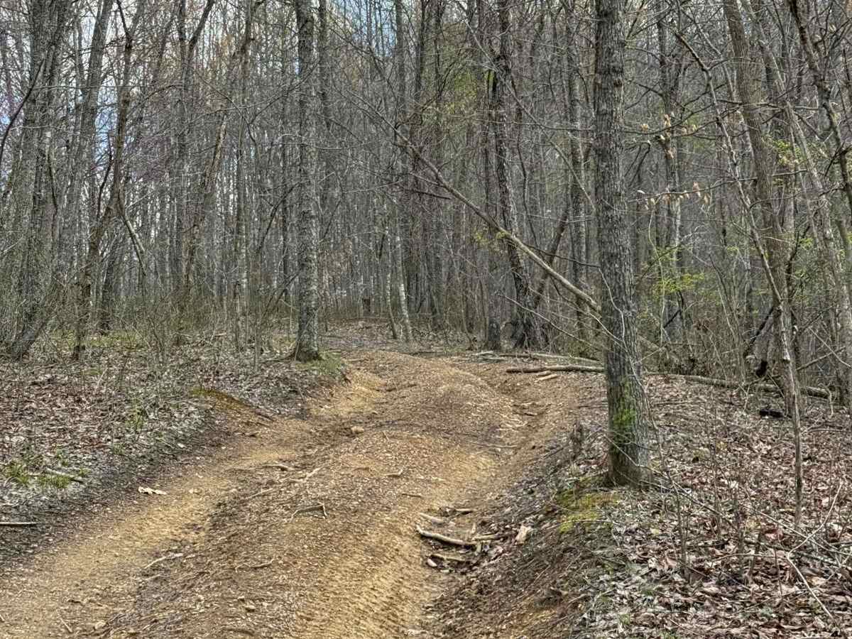 Trail 16 photo 4