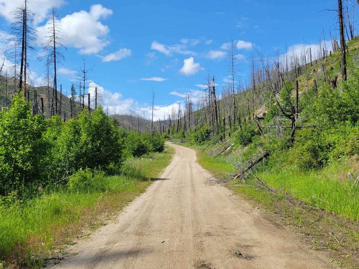 FR 2045 - Loup Loup Canyon Road photo 5