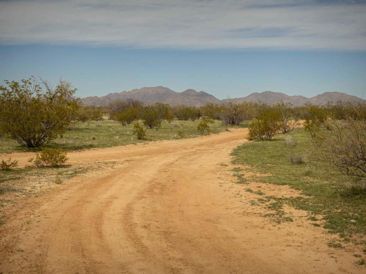 Nelson's Cutoff trail photo