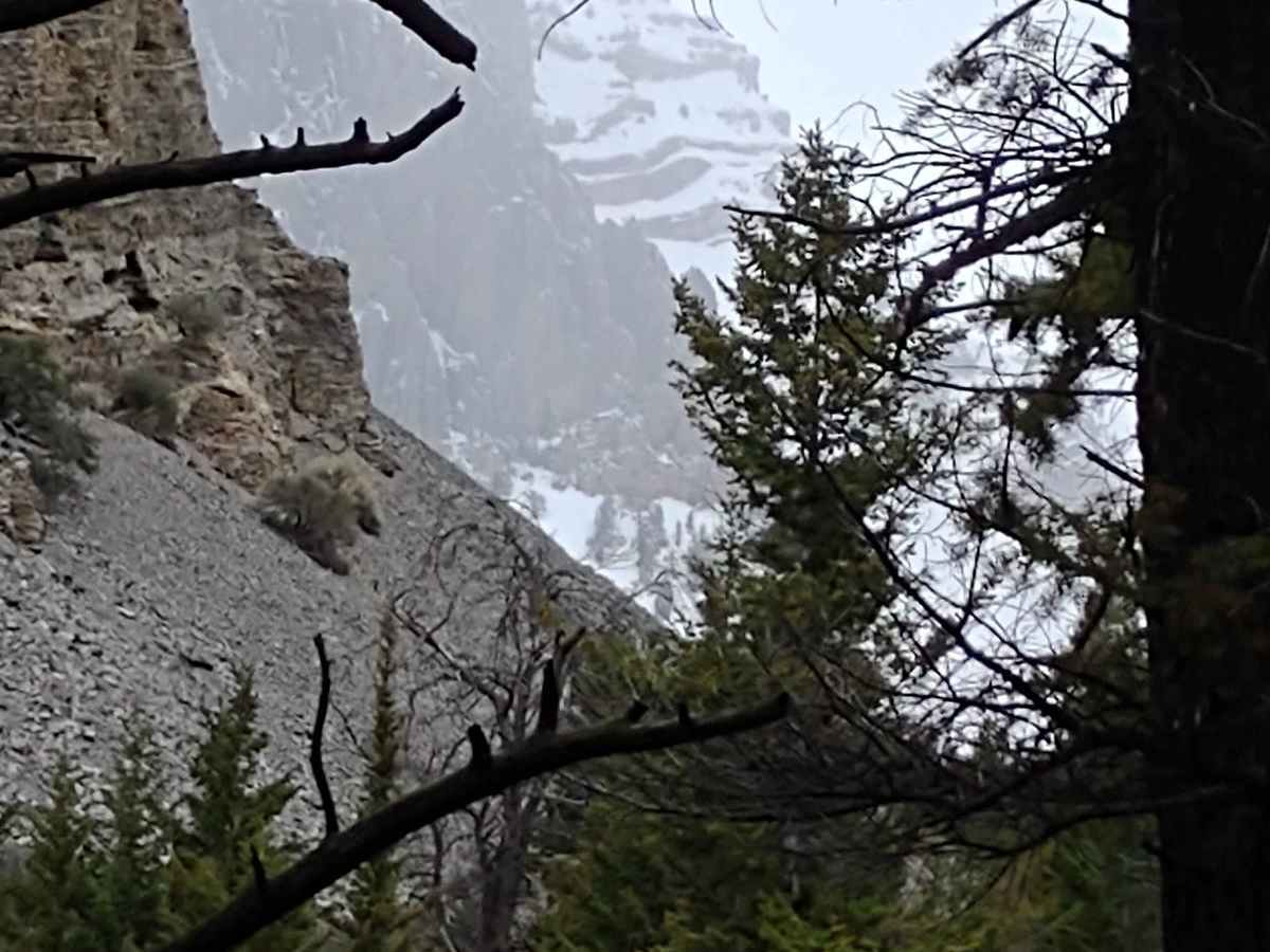 Chimney Gulch to Mammoth Canyon trail photo