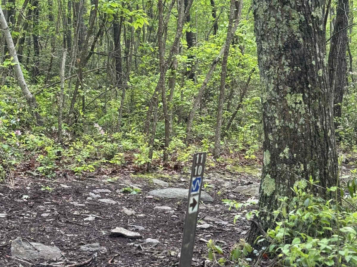 1110 Blue trail photo
