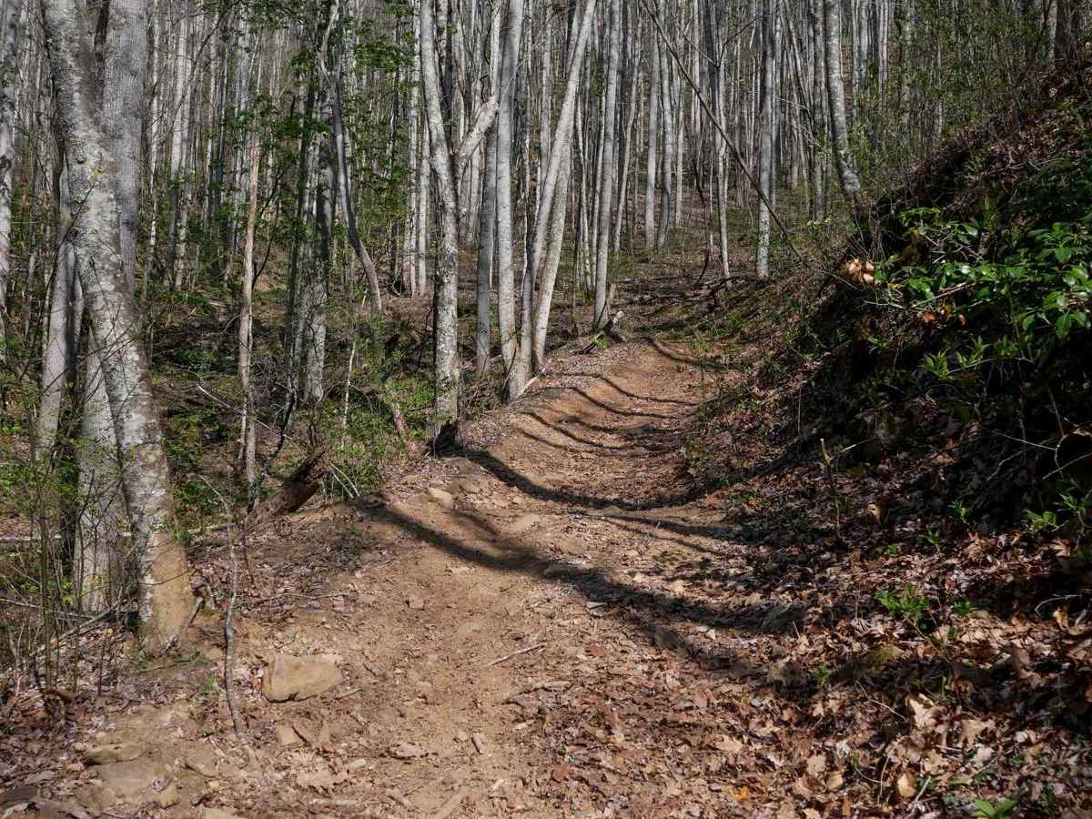 Hemlock Ridge Trail 7 photo 5