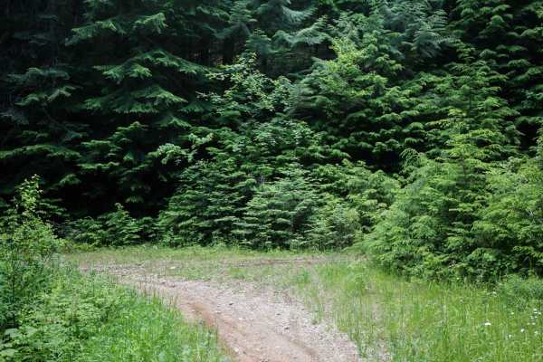 Canfield Mountain - Trail A (East)