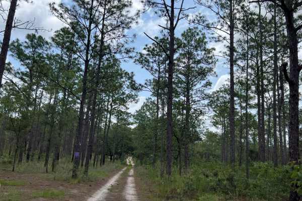 Citrus Wildlife Management | Trail 18