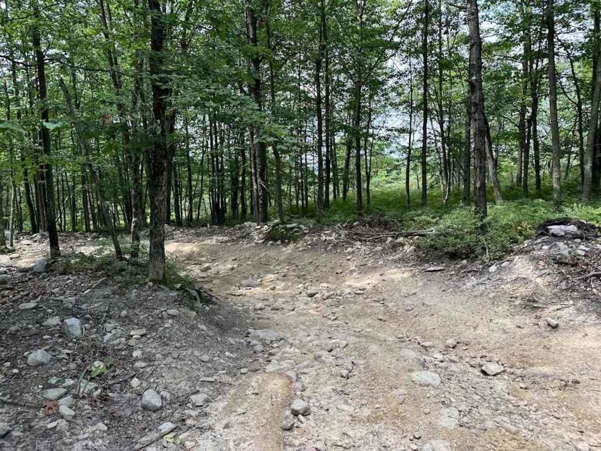 31 Green - B trail photo