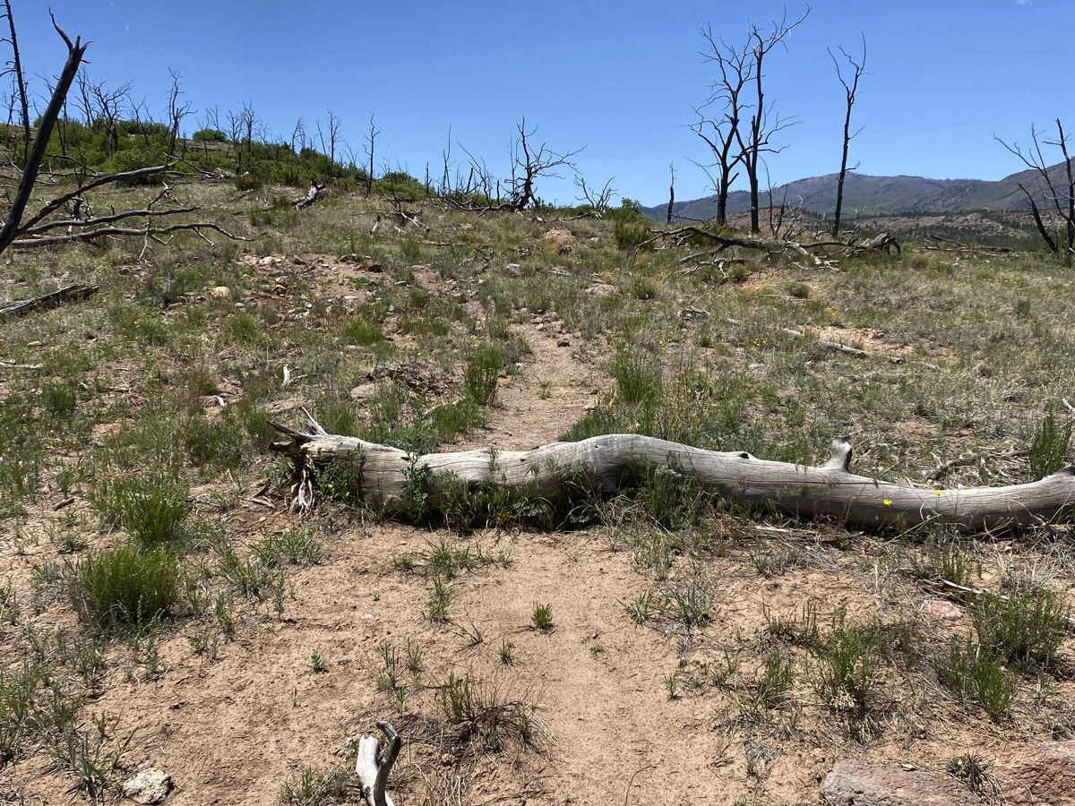 Corral Jumper trail photo