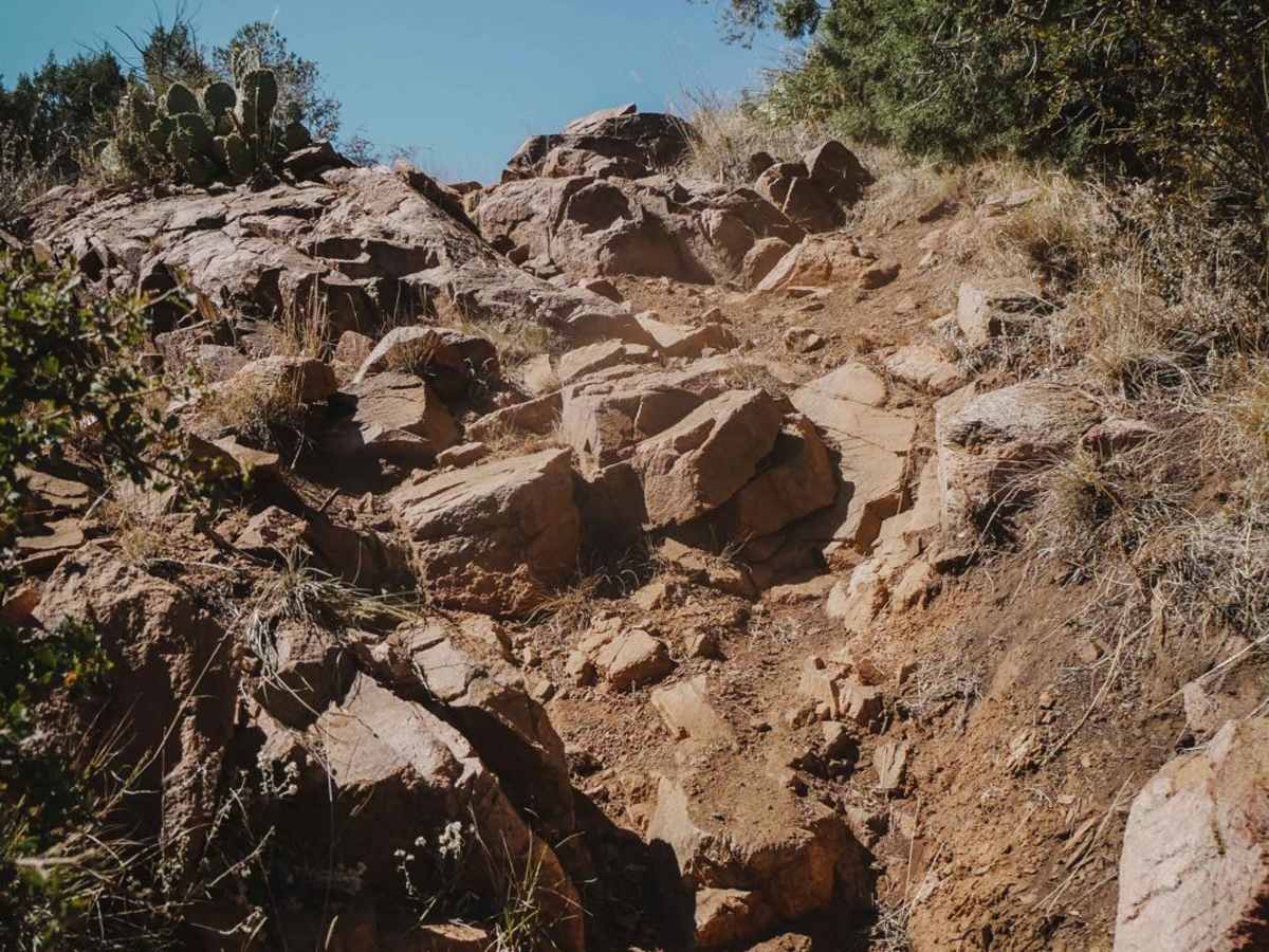 Red Mountain Trail trail photo