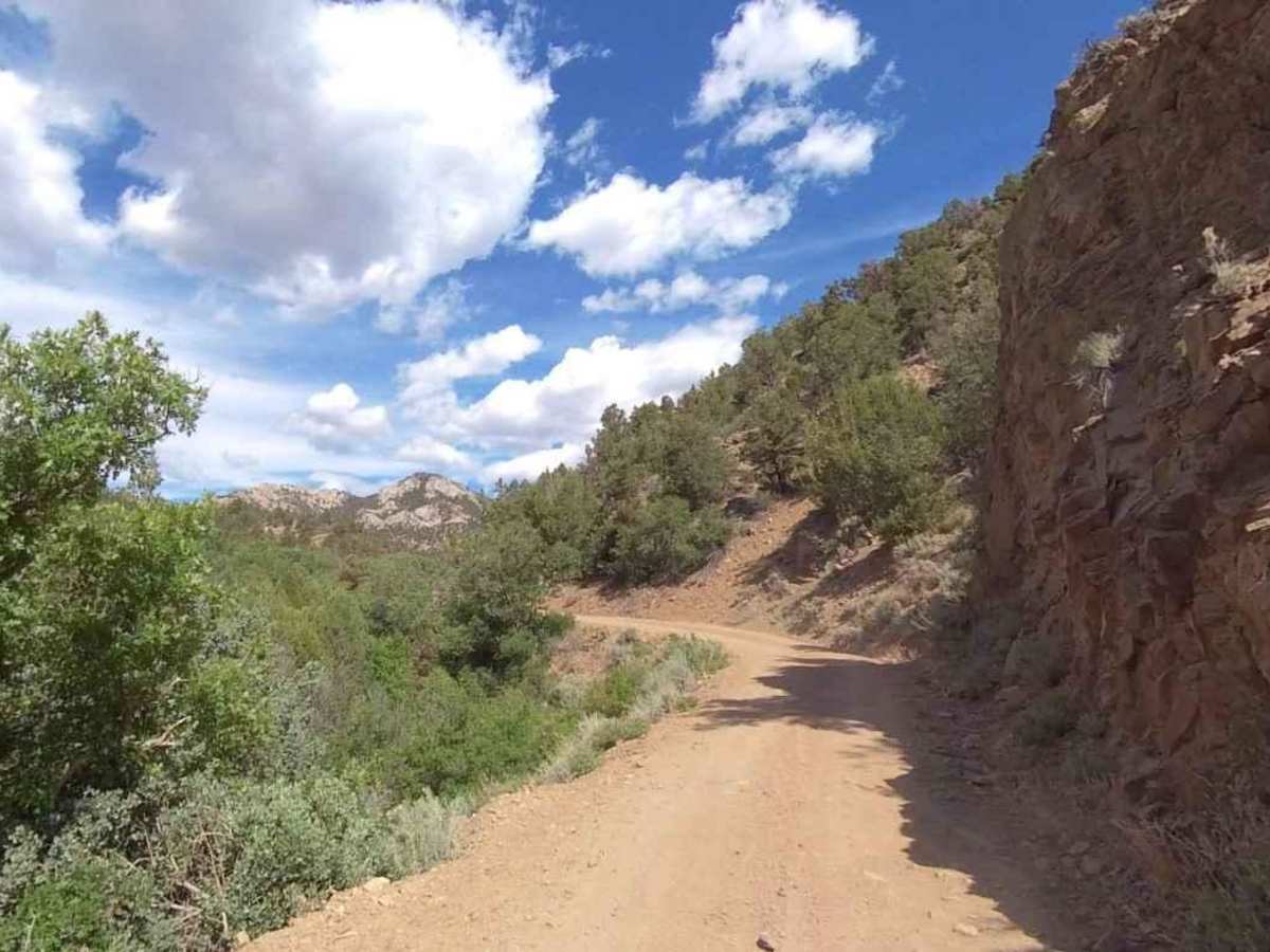 Page Ranch Road-FR30029 photo 6