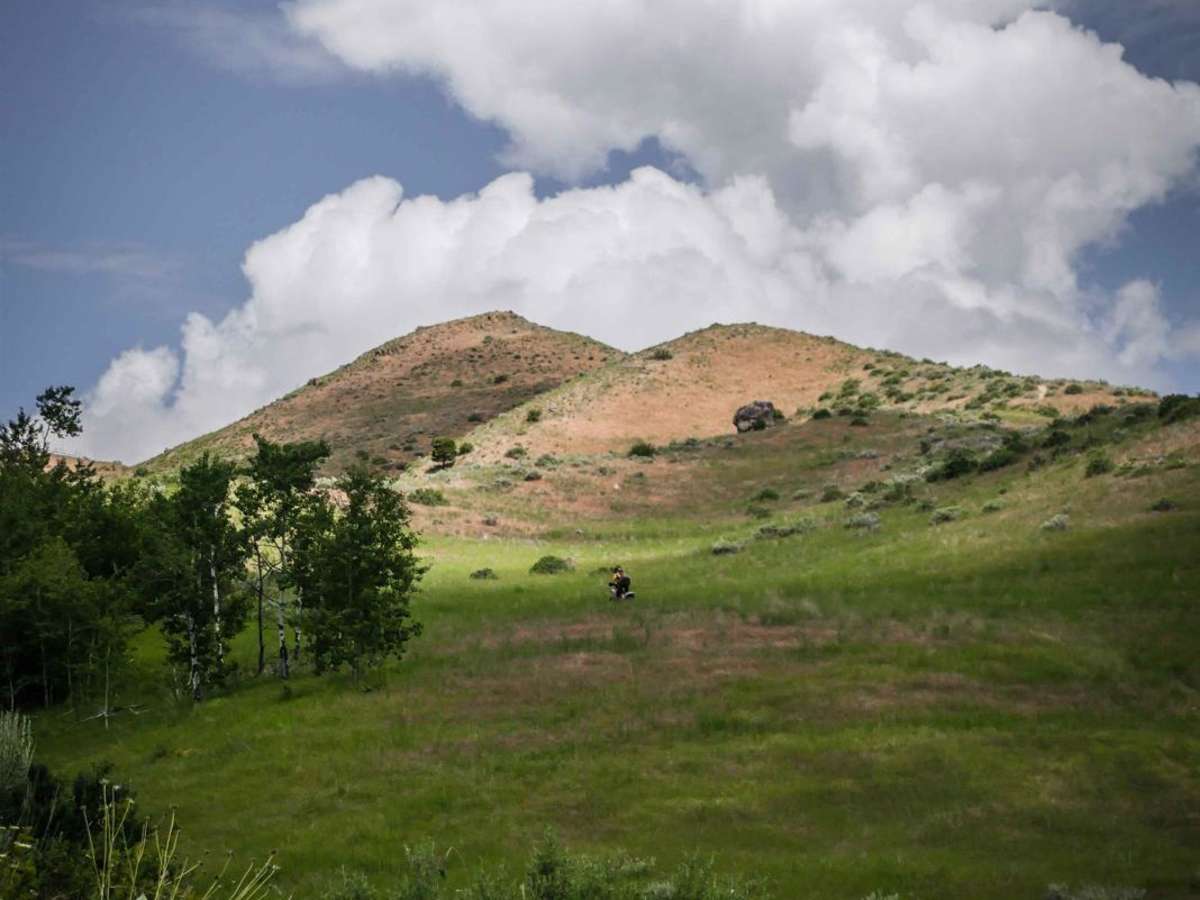 311 trail photo