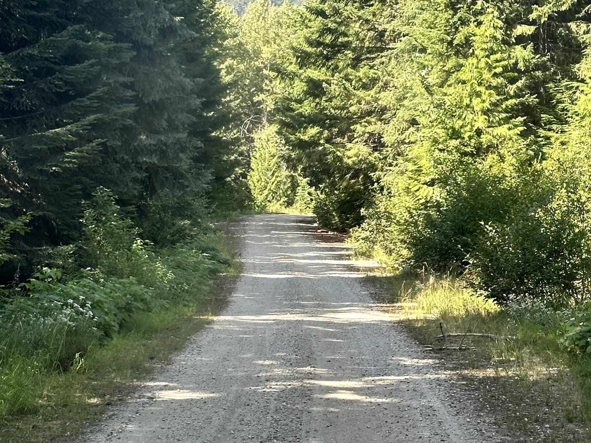 Rainy Creek Trail photo 2