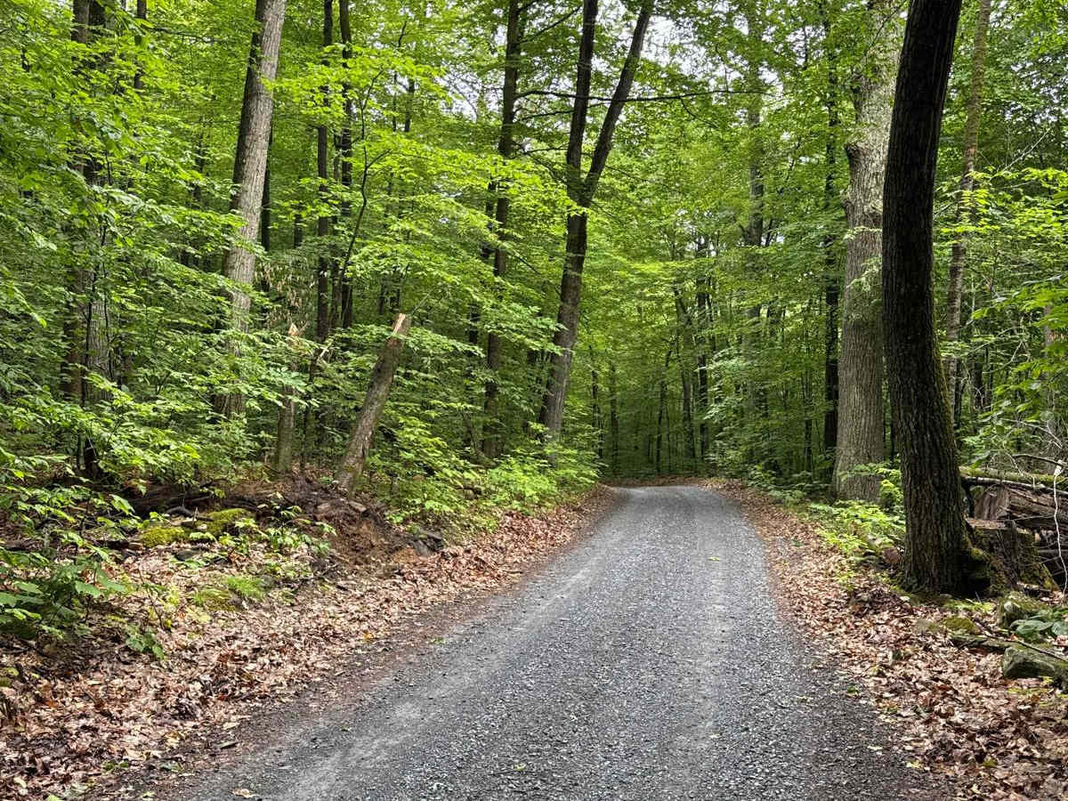 Dacy Clearing Road photo 2