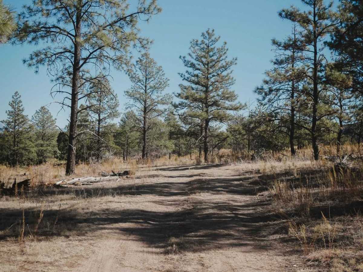 Cany trail photo