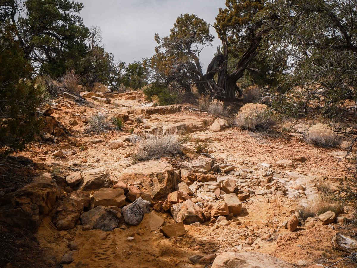 Shumway Mines photo 5