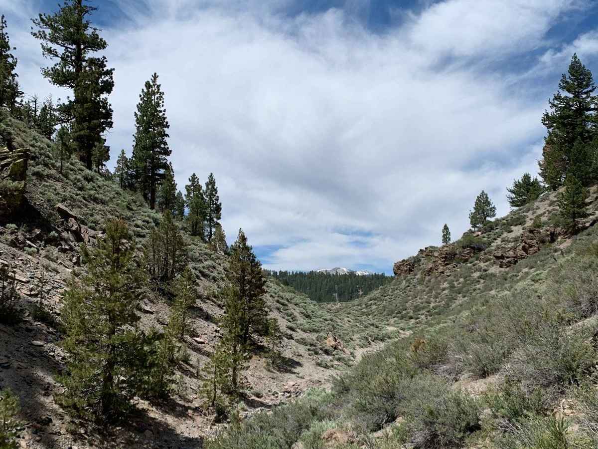 Dry Creek Gulch (28E210) photo 5