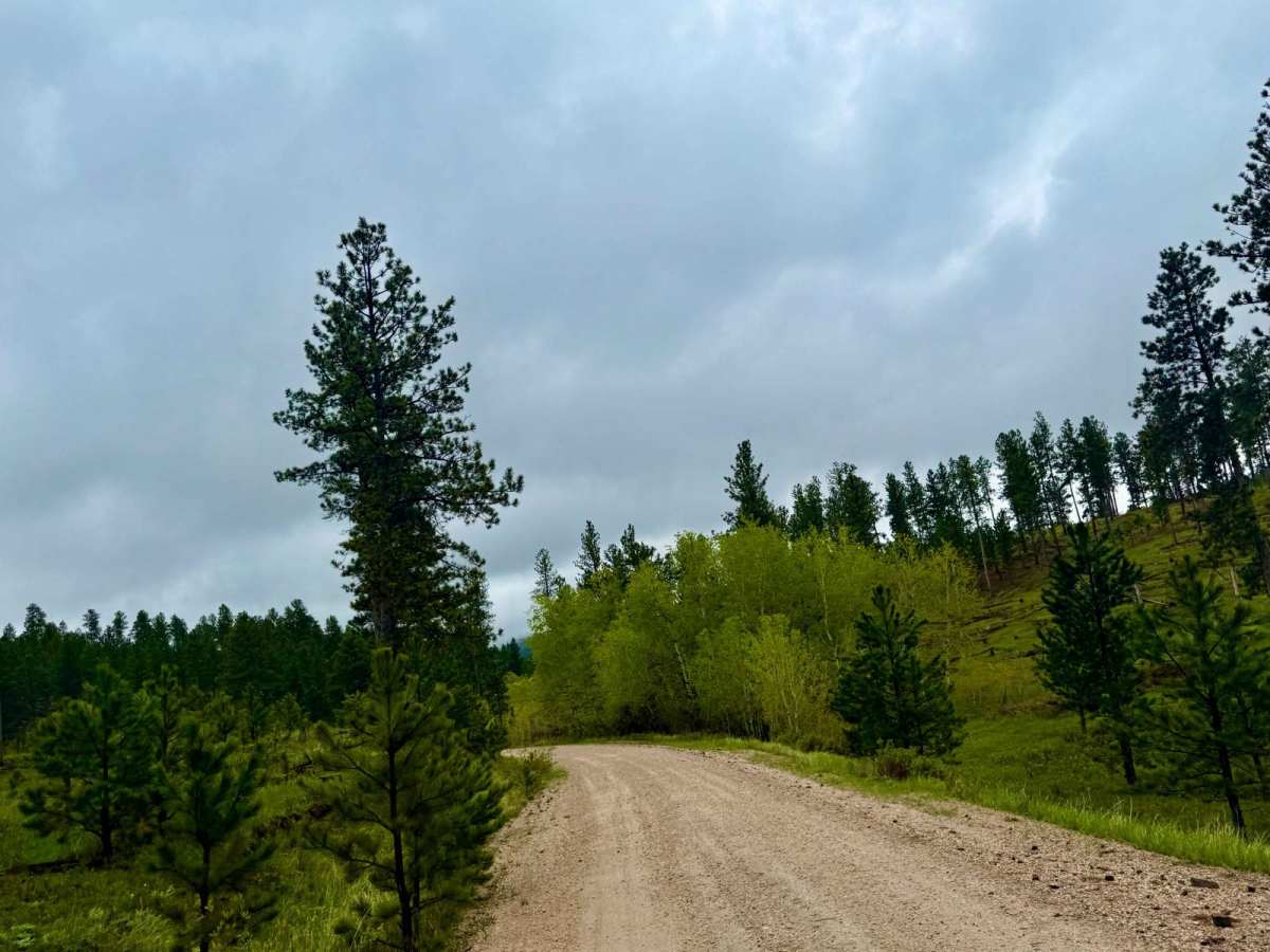 Battle Axe Road photo 4