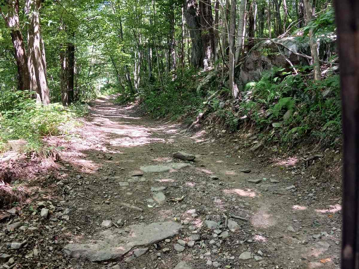 Lower Briar Path photo 4