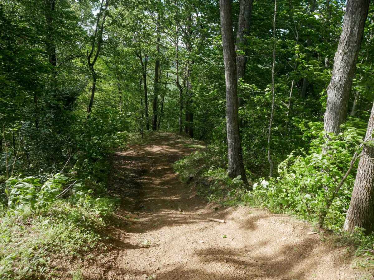RV24 photo 3