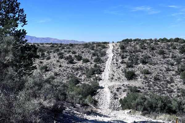Skeleton Bones Trail