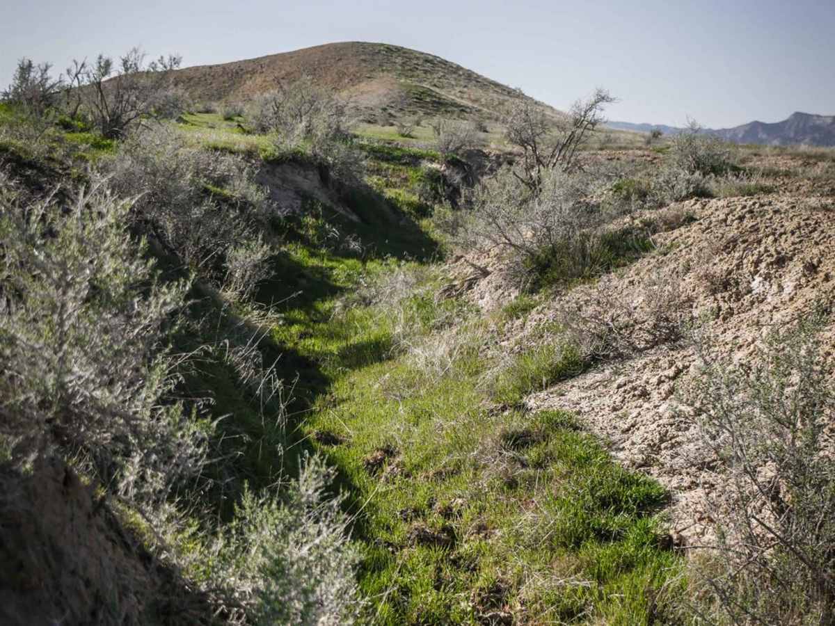 BLM Route 185 photo 6