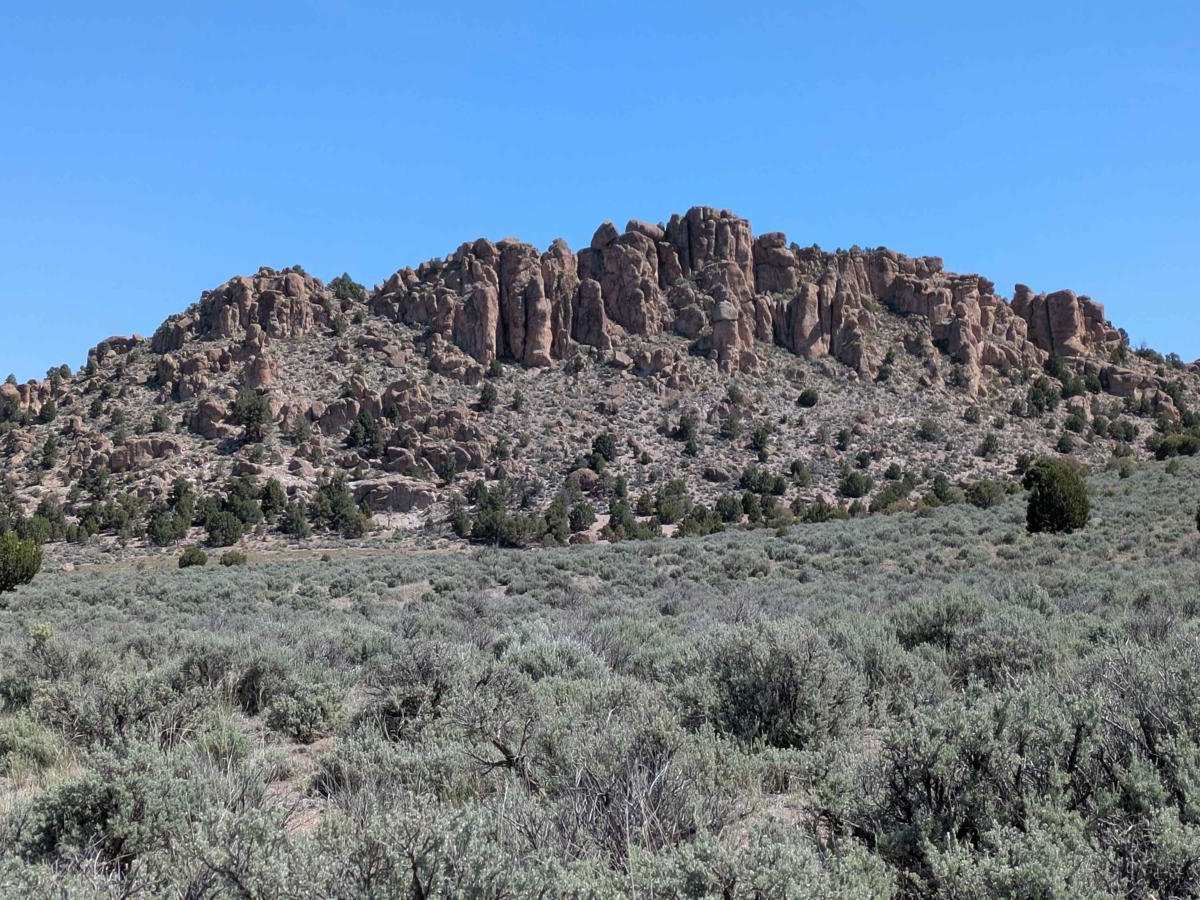 BLM 30228 photo 6