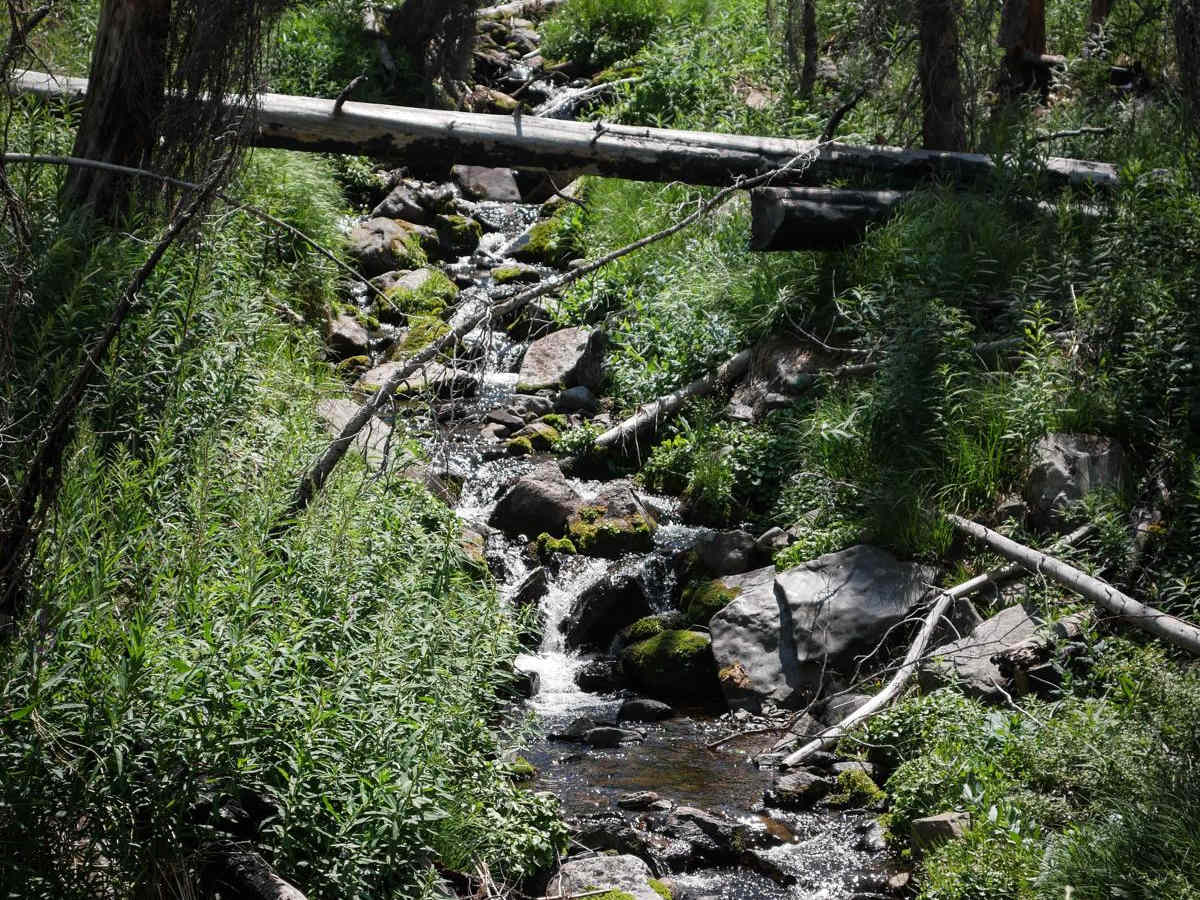 McKay - Eleven trail photo