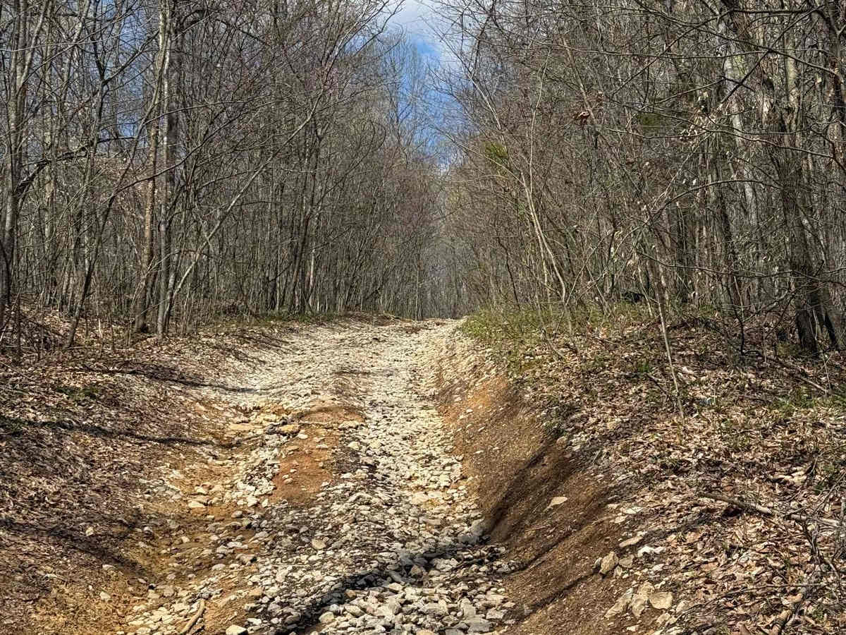 Trail 29 photo 4